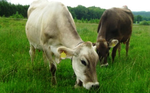 譌ゥ豎蟲ー縺ョ繧繝ィ繝シ繧ー繝ォ繝茨シ捺悽繧サ繝繝 縲269縲