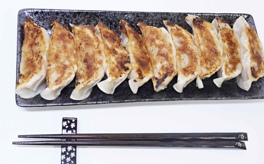 カスイ 手作り 餃子3種・焼売・ワンタン詰合せセット（5種類）【1348】