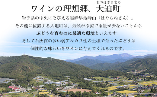 赤ワイン飲み比べ２本セット【ギフトＢＯＸ入り】自社畑ツヴァイゲルトレーベ2018・2019【1428】