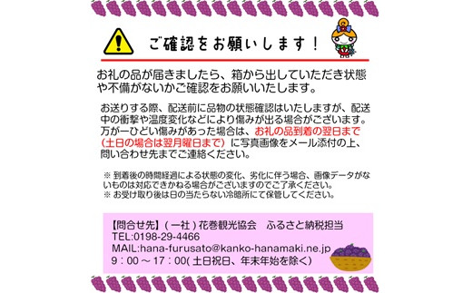 厳選シャインマスカット 粒パック (約250g×4パック） 【1248】