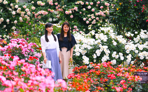 ホテル ファミリー向け宿泊券 (フクロー) 1泊 大人2名・お子様2名 花巻温泉 【1911】