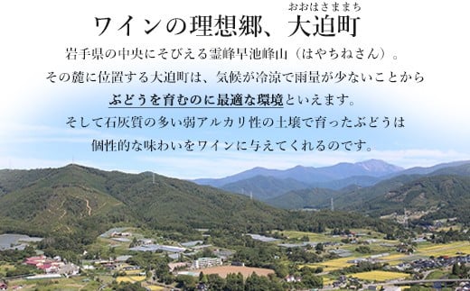 蟯ゥ謇狗恁闃ア蟾サ逕」 逕伜哨鬟イ縺ソ豈斐∋繧ィ繝シ繝繝ォ繝ッ繧、繝ウ蜴ウ驕クシ疲悽繧サ繝繝 縲386縲