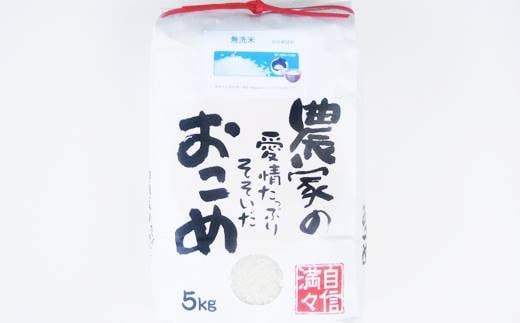 減農薬栽培 ひとめぼれ 無洗米 5kg 定期便 3ヶ月 【712】