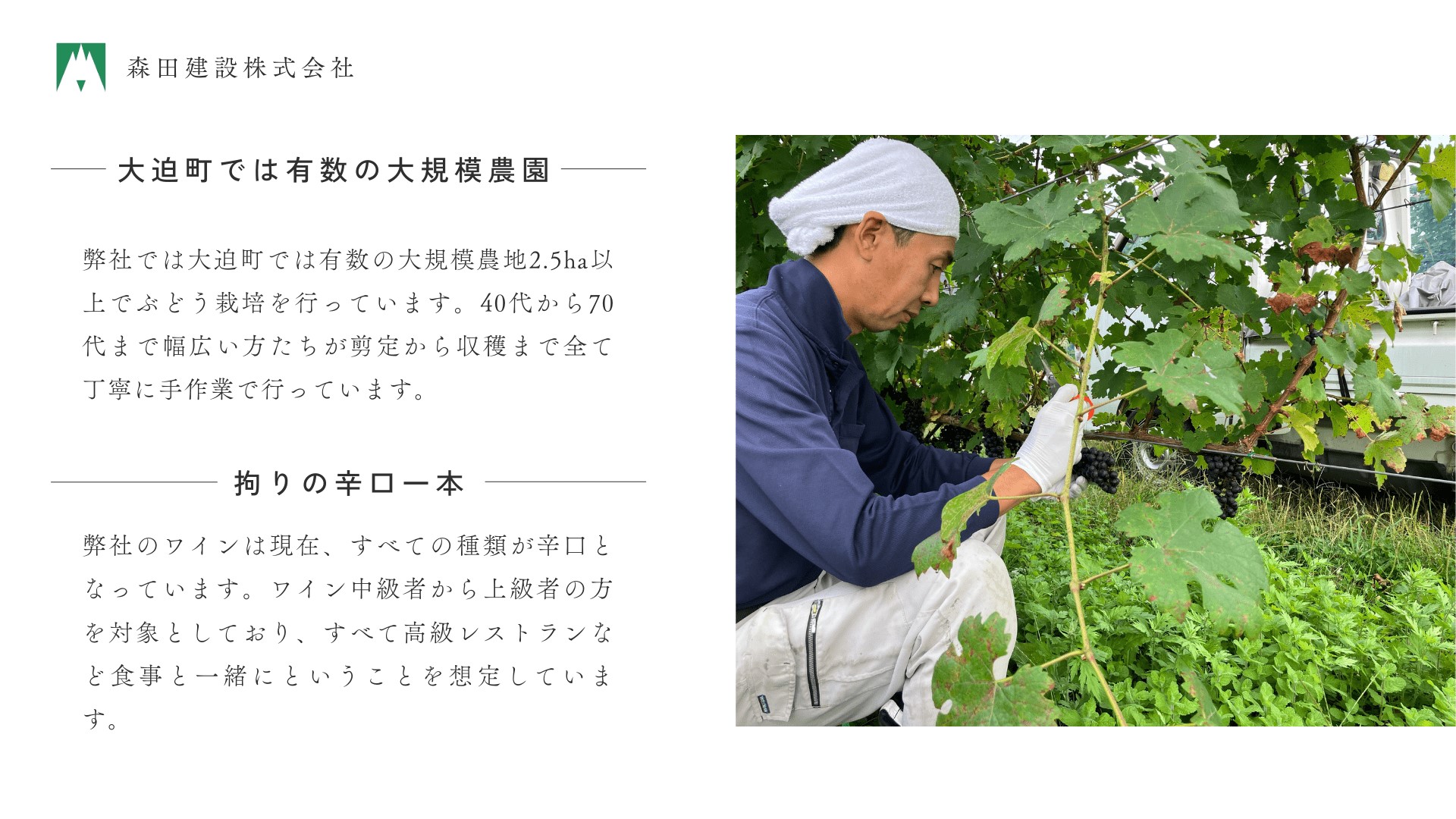 ãæ©æ± å³°ã®æµã¿ãã¢ãªã¿ã¯ã€ã³ ãªãŒã¹ãªã³ã°2020 ãã 貯èµã¯ã€ã³ èŸå£ã750mlÃ1æ¬ ã2107ã