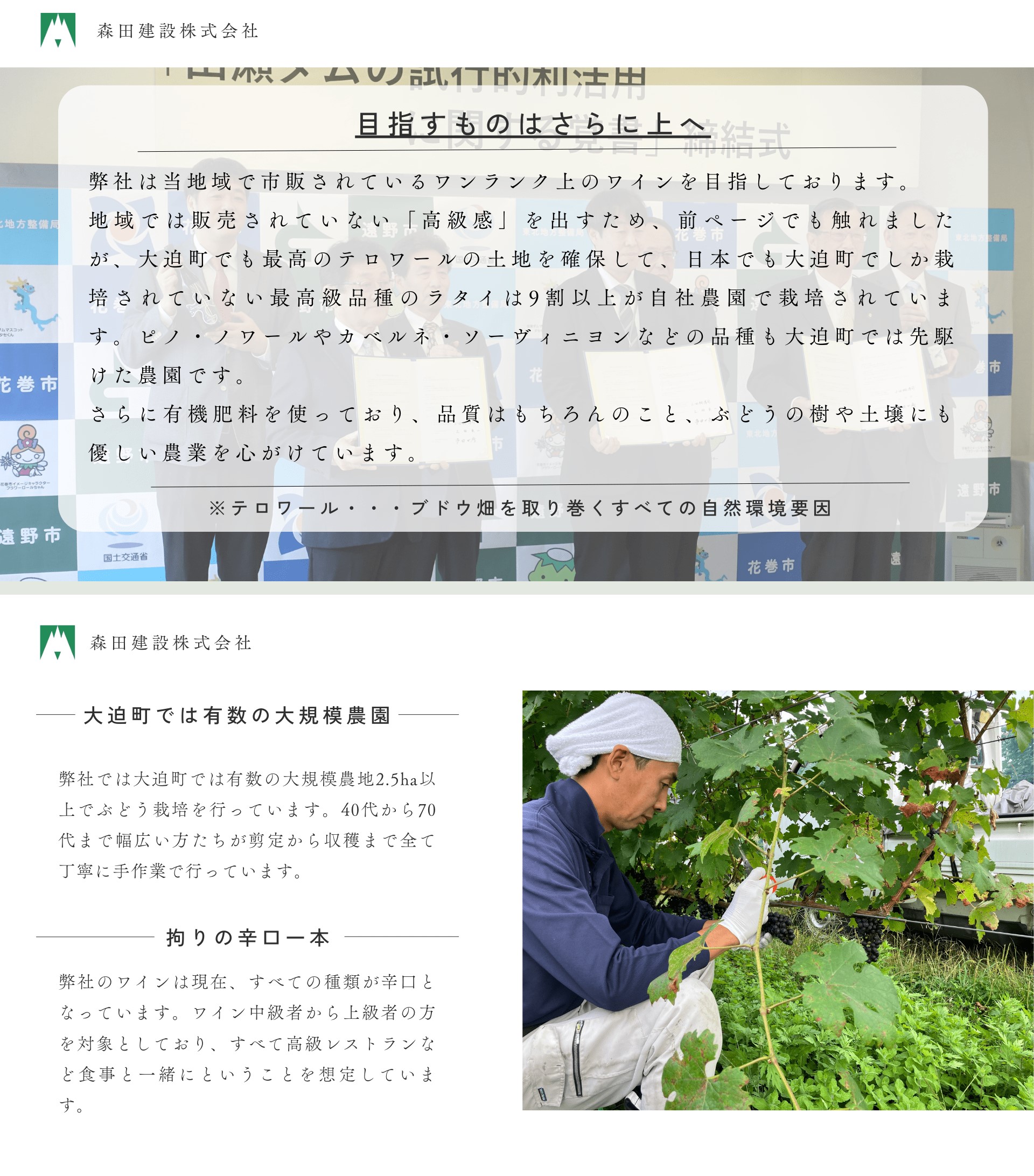 「早池峰の恵み」モリタワイン ダム貯蔵ワイン ピノ・ノワール2018　720ml×1本 【2104】