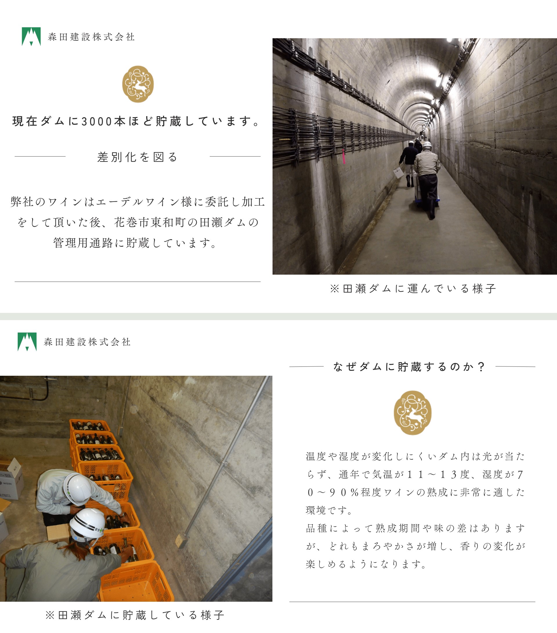 「早池峰の恵み」モリタワイン ダム貯蔵ワイン ピノ・ノワール2018　720ml×1本 【2104】