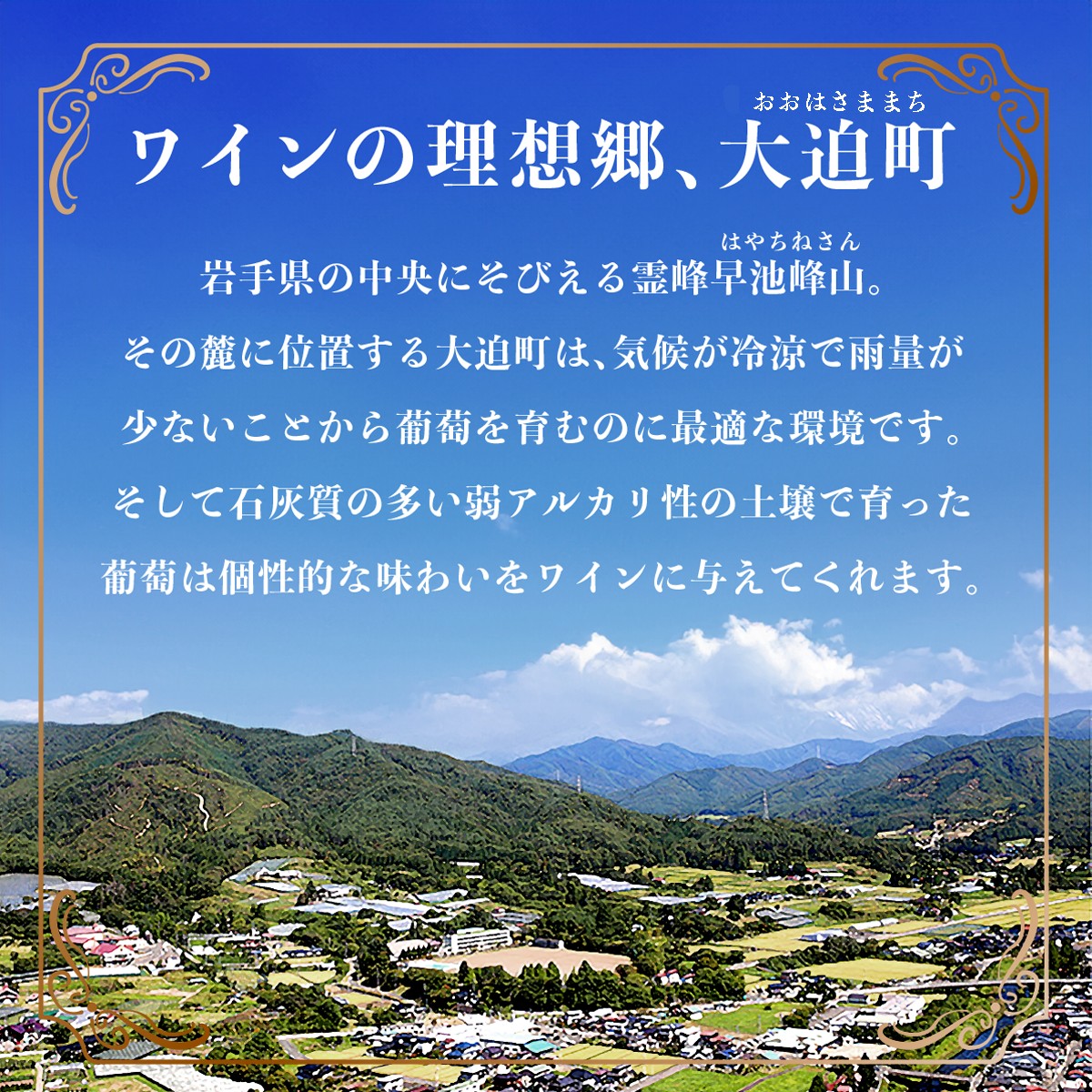 繧ィ繝シ繝繝ォ繝ッ繧、繝ウ 莠疲怦髟キ譬ケ 繝ェ繝シ繧ケ繝ェ繝ウ繧ー繝サ繝ェ繧ェ繝ウ 繧繧霎帛哨 逋ス繝ッ繧、繝ウシ疲悽繧サ繝繝 縲395縲