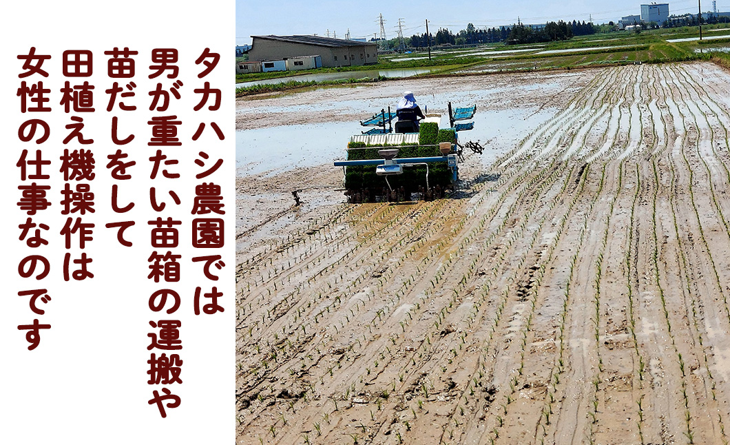 シ應サ、蜥8蟷エ逕」莠育エ蜿嶺サ假シ樣橿豐ウ縺ョ縺励★縺 蜴ウ驕ク繝励Ξ繝溘い繝縲邇邀ウ10kg 縲2233縲