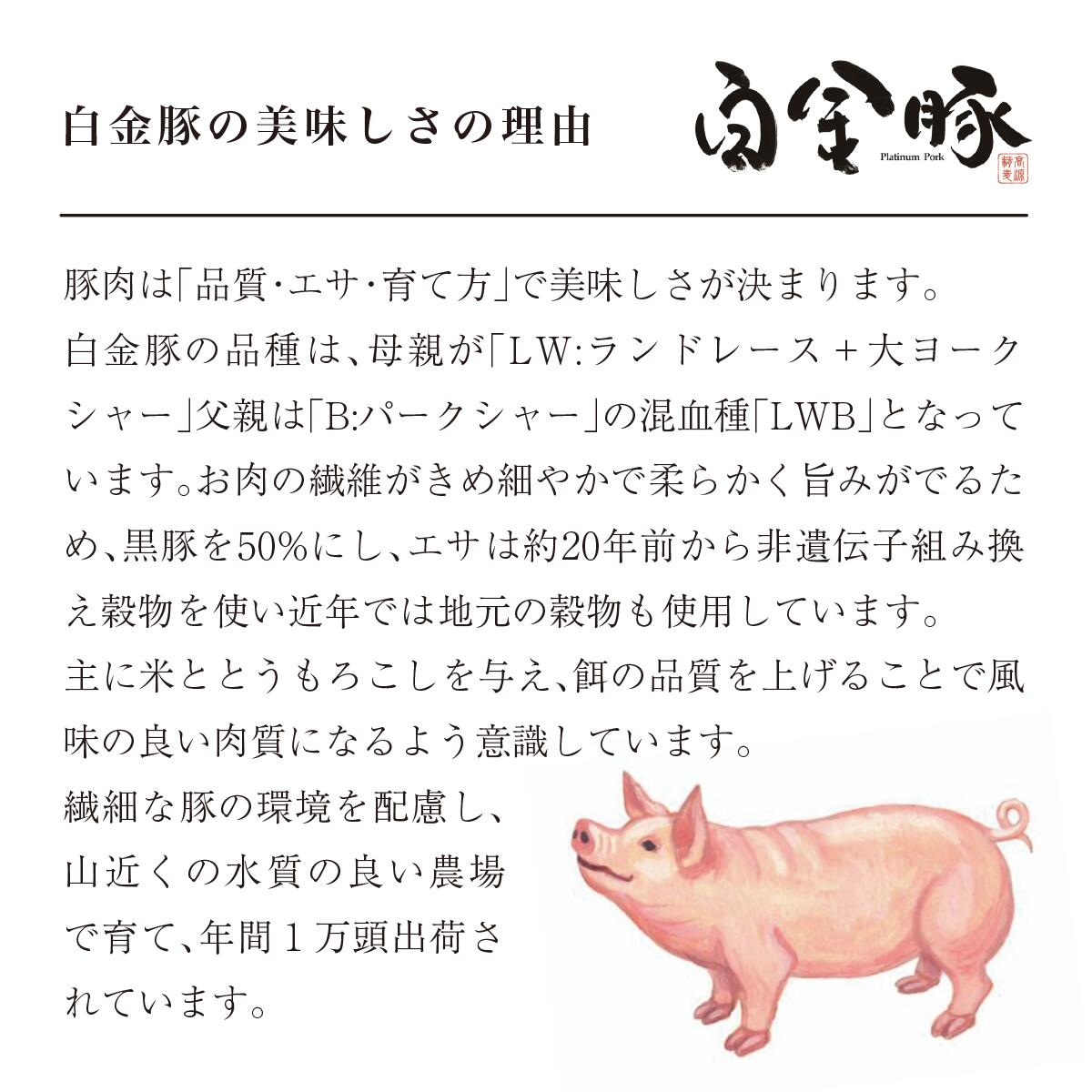 白金豚ヒレ丸2本(冷凍)　かたまり肉ブロック【1919】
