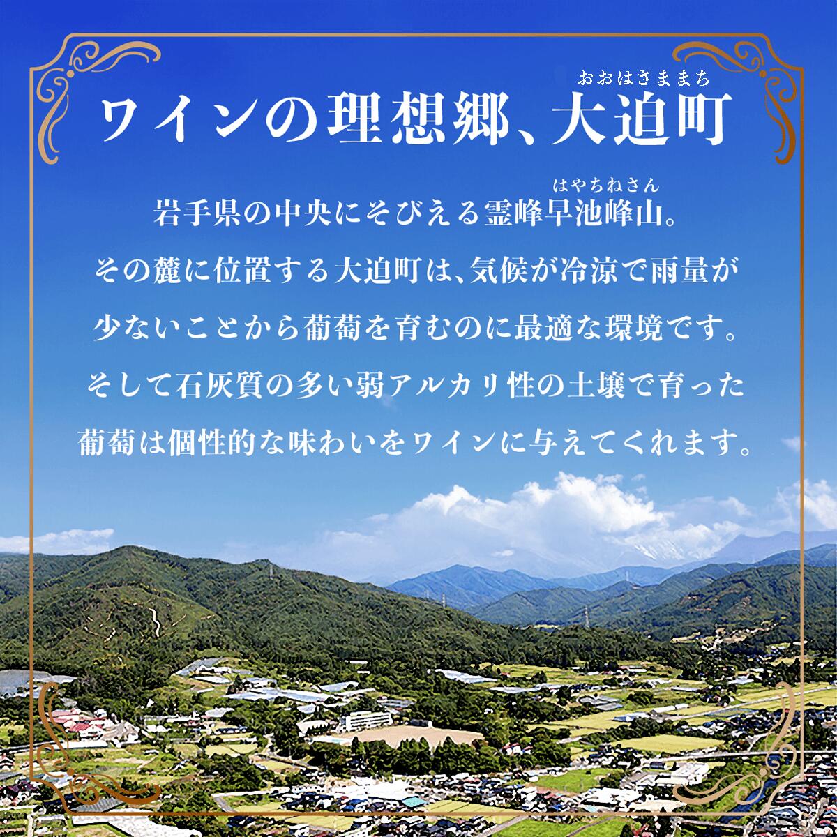 エーデルワイン　コンツェルト 辛口２本セット（赤 ・白） 【389】