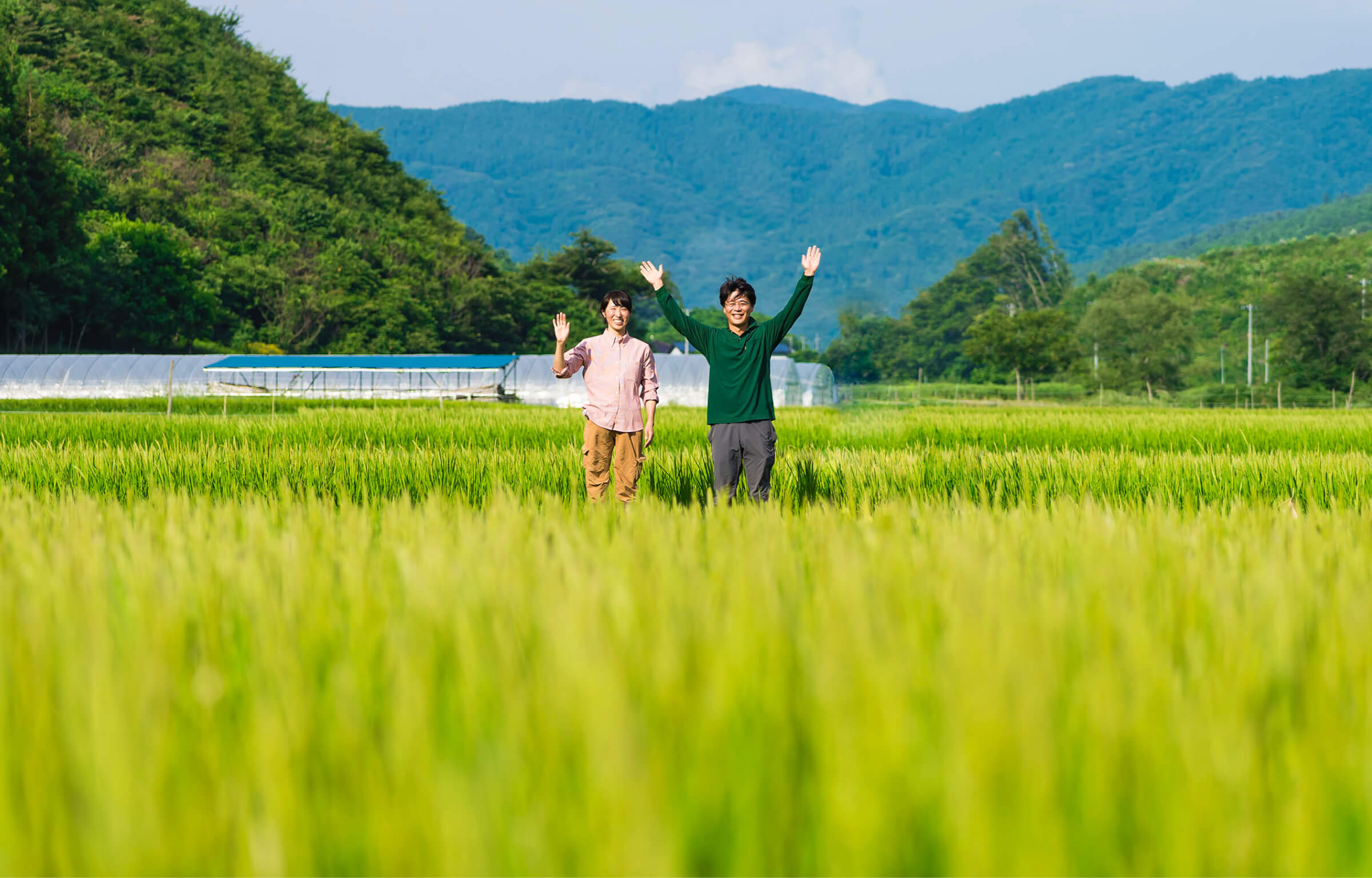 ã æ°ç±³ å
è¡äºçŽ ã 什å7å¹Žç£ ãµãµãã·ã çœç±³ 粟米 1.5kg åå
çž ç¡è¥æ ç¡èŸ²è¬ ãç±³ ç±³ ãæ œå¹æéäžèŸ²è¬äžäœ¿çšã