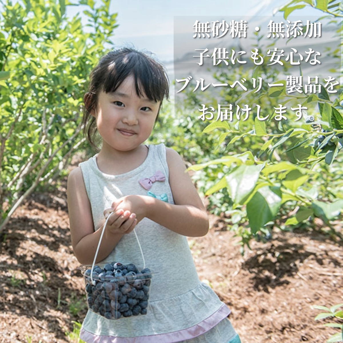 冷凍 ブルーベリー ちょっと小さめ Mサイズ 2kg （500gパック4個入り） 門前おくでらブルーベリー園 岩手県 遠野市 産 お取り寄せ 産地直送 2025年産 冷凍ブルーベリー