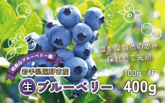 ブルーベリー 生 400g 100g×4パック 岩手県 遠野市 遠野食工房蔵 / 栽培期間中 農薬不使用 無農薬 除草剤 不使用 砥森山ブルーベリー園 完熟 生ブルーベリー 【 先行予約 2026年7月上旬頃発送予定】