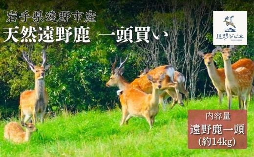 遠野鹿 1頭買い ・ 14kg 【遠野ジビエ】 / ジビエ 鹿肉 岩手県 遠野市 産  遠野ジビエの里 毘沙門商会合同会社