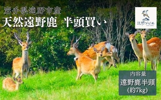 遠野鹿 半頭買い ・ 7kg 【遠野ジビエ】 / ジビエ 鹿肉 岩手県 遠野市 産  遠野ジビエの里 毘沙門商会合同会社
