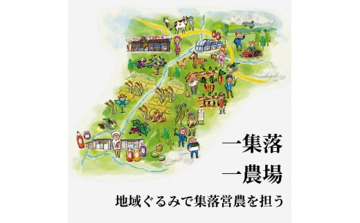ジュース にんじん 旬素材 1L 6本 /  宮守川上流生産組合 岩手県 遠野産 100% りんご ブレンド 野菜 人参 フルーツ 果物 お中元