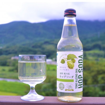ãã³ã¢ã«ã³ãŒã« çé
žæ°Ž é é颚ã®äž ããããœãŒã 340ml 24æ¬ã»ããã1323060ã