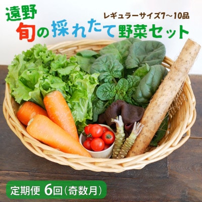 【発送月固定定期便】奇数月発送 旬のとれたて野菜セット(7〜10品)レギュラーサイズ全6回【配送不可地域：離島】【4066185】
