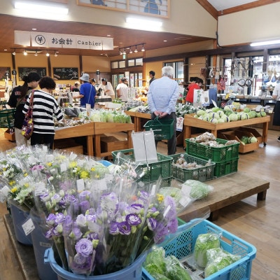 河太郎せんべい 2枚×9袋 計18枚 鶴乃屋菓子店 岩手県 遠野市 道の駅 遠野風の丘 銘菓【1576699】