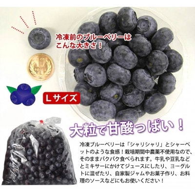 遠野で育った 大粒 冷凍 ブルーベリー Lサイズ 1kg【配送不可地域：離島】【1333274】