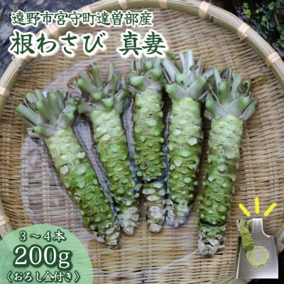 【生産者直送】宮守特産わさび 真妻(生) 200g(3〜4本)【わさび用おろし金付き】【配送不可地域：離島】【1332087】