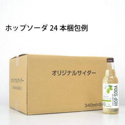 ãã³ã¢ã«ã³ãŒã« çé
žæ°Ž é é颚ã®äž ããããœãŒã 340ml 24æ¬ã»ããã1323060ã