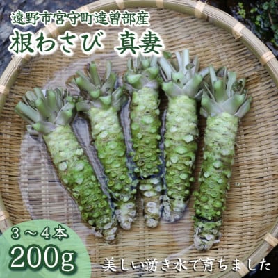 【生産者直送】宮守特産わさび(生) 200g(3〜4本)【配送不可地域：離島】【1332050】