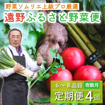 【発送月固定定期便】遠野ふるさと野菜便 野菜ソムリエ 厳選 詰め合わせセット 岩手県遠野市 全4回【配送不可地域：離島】【4092422】