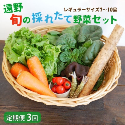 【毎月定期便】旬のとれたて野菜セット(7〜10品)レギュラーサイズ【こんたでぃーの遠野】全3回【配送不可地域：離島】【4066189】