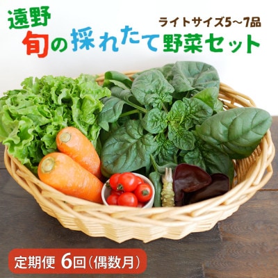 【発送月固定定期便】偶数月発送 旬のとれたて野菜セット(5〜7品)ライトサイズ全6回【配送不可地域：離島】【4066187】