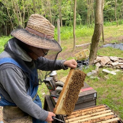 闖雁クク鬢願怩蝨 蟄」遽縺ョ縺翫☆縺吶a縺ッ縺。縺ソ縺、 縺翫∪縺九○繧サ繝ャ繧ッ繝3蛟句・縲1743146縲
