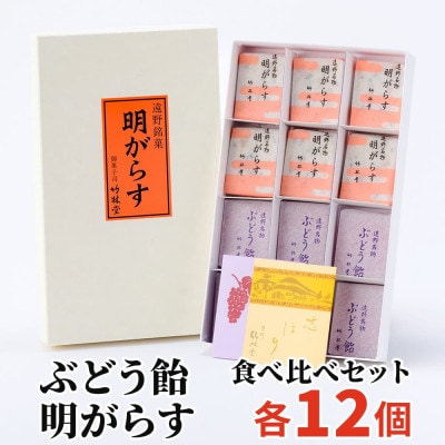 明がらす・ぶどう飴 各12個(計24個)食べ比べセット 岩手県遠野市 竹林堂【1740127】