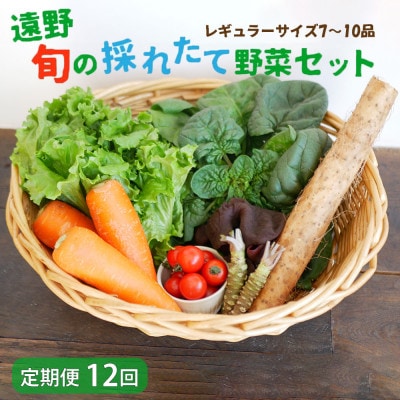 【毎月定期便】旬のとれたて野菜セット(7〜10品)レギュラーサイズ【こんたでぃーの遠野】全12回【配送不可地域：離島】【4066191】