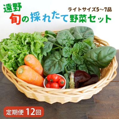 【毎月定期便】旬のとれたて野菜セット(5〜7品)ライトサイズ【こんたでぃーの遠野】全12回【配送不可地域：離島】【4066188】