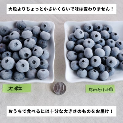冷凍ブルーベリー ちょっと小さめ Mサイズ 2kg (500g×4個) 門前おくでらブルーベリー園【配送不可地域：離島】【1738477】
