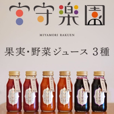 宮宿¥œå ãžã¥ãŒã¹ 3çš® 6æ¬ ã»ãã / å®®å®å·äžæµçç£çµå é éåžã1635004ã