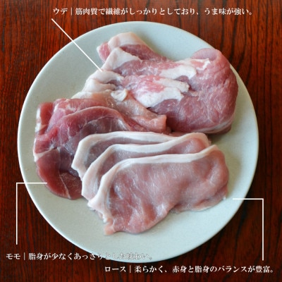 ãããŠçŽæ
è± é éç£ äºéº»è± çŒèçš é£ã¹æ¯ã¹ åèš1.2kg ããŒã¹ ã¢ã¢ ãŠãè å200gÃ2ãé
éäžå¯å°åïŒé¢å³¶ãã1476651ã