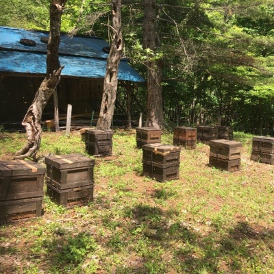 闖雁クク鬢願怩蝨 蟄」遽縺ョ縺翫☆縺吶a縺ッ縺。縺ソ縺、 縺翫∪縺九○繧サ繝ャ繧ッ繝6蛟句・縲1743150縲
