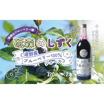 砥森のしずくブルーベリージュース 果汁100% 720ml×2本 岩手県遠野市 遠野食工房蔵【1583507】