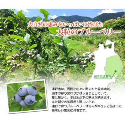 遠野で育った 大粒 冷凍 ブルーベリー Lサイズ 1kg【配送不可地域：離島】【1333274】