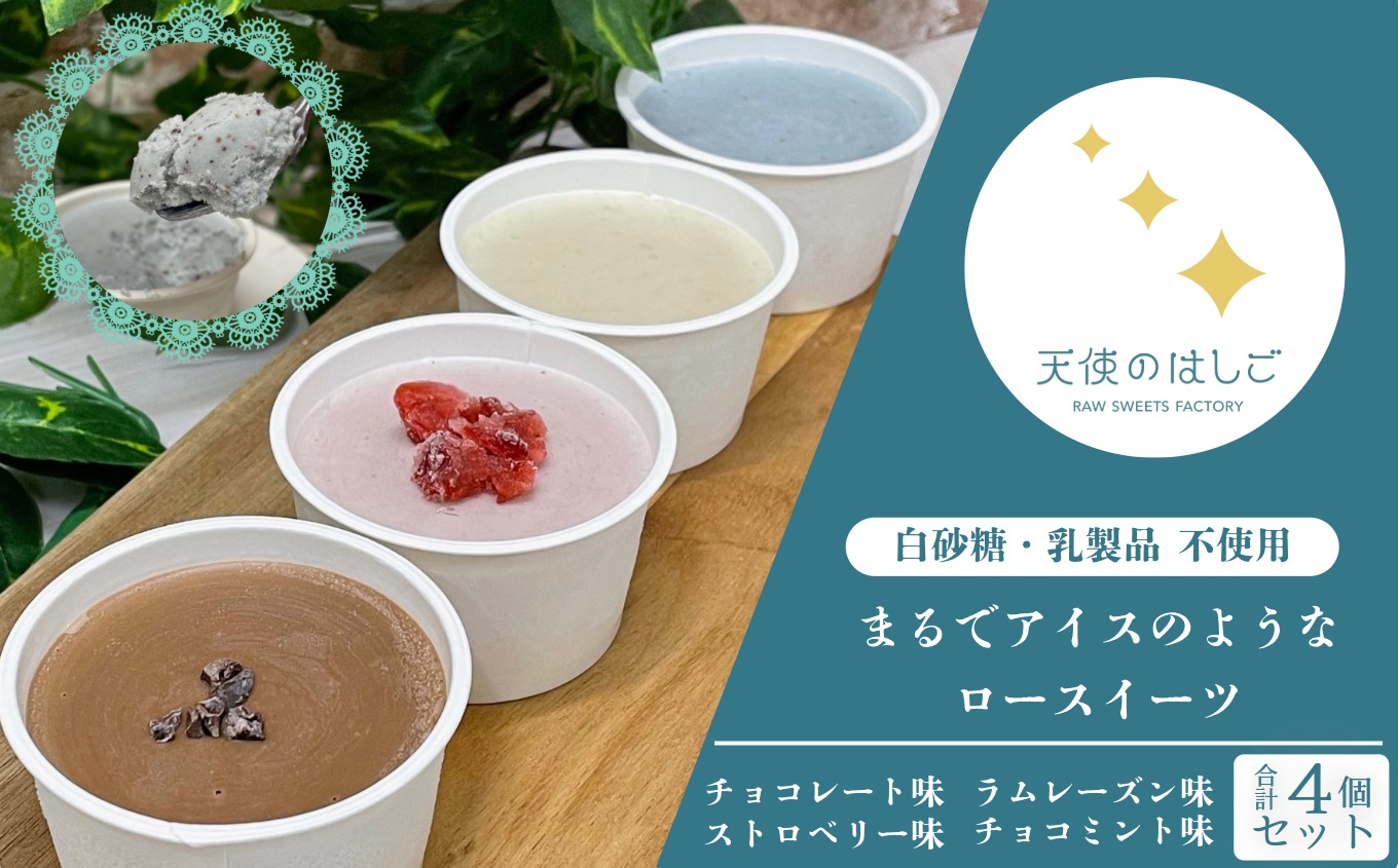 まるでアイスのようなロースイーツ 4種セット チョコレート ラムレーズン チョコミント ストロベリー ロースイーツ 冷凍 【天使のはしご】 /東北 岩手県 遠野市 記念日 お祝い クリスマス ナチュラル ヘルシー ヴィーガン スイーツ ベジタリアン 有機