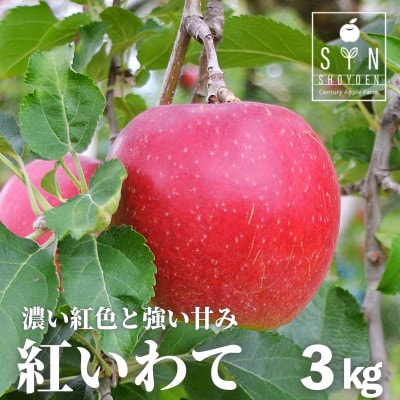 りんご 紅いわて 3kg 松陽園 樹上 完熟りんご 農家直送 先行予約【配送不可地域：離島】【1516188】