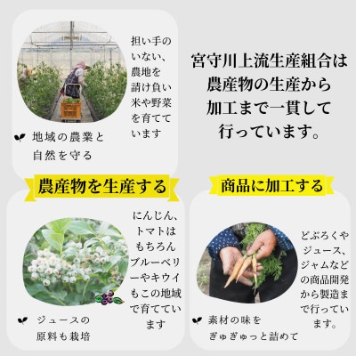 宮宿¥œå ãžã¥ãŒã¹ 3çš® 6æ¬ ã»ãã / å®®å®å·äžæµçç£çµå é éåžã1635004ã