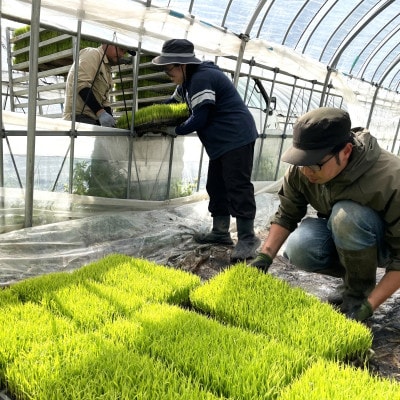 【毎月定期便】ササニシキ 白米 精米 10kg 岩手遠野市 勘六縁「たけのこ舎」全6回【4088046】