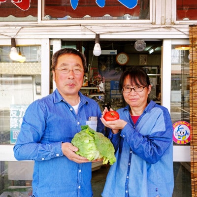 遠野ふるさと野菜便《野菜ソムリエ 厳選》/ 岩手県 遠野市産 野菜セット詰め合わせ【配送不可地域：離島】【1519347】