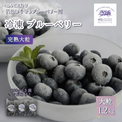 冷凍ブルーベリー 大粒 1.2kg (400gパック3個入り) 門前おくでらブルーベリー園【配送不可地域：離島】【1738487】