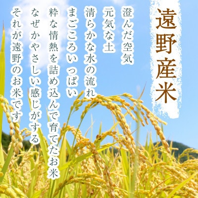 【入金確認後、最短5日で出荷】 【令和7年産】あきたこまち(精米) 岩手県遠野市産 10kg 河判【1702584】