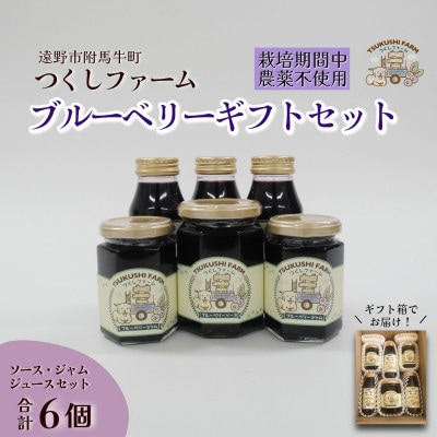 ブルーベリージュース&ジャム&ソース 合計6個セット 栽培期間中農薬不使用 つくしファーム 遠野【1742671】