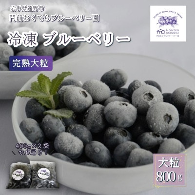 冷凍ブルーベリー 大粒 合計800g(400gパック2個入り) 門前おくでらブルーベリー園【配送不可地域：離島】【1738484】