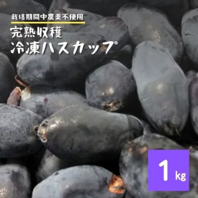 å·å ãã¹ã«ãã 1kg æ œå¹æéäž èŸ²è¬äžäœ¿çš 蟲家 çŽé é éããããã«ã³ããªãŒãé
éäžå¯å°åïŒé¢å³¶ãã1634840ã